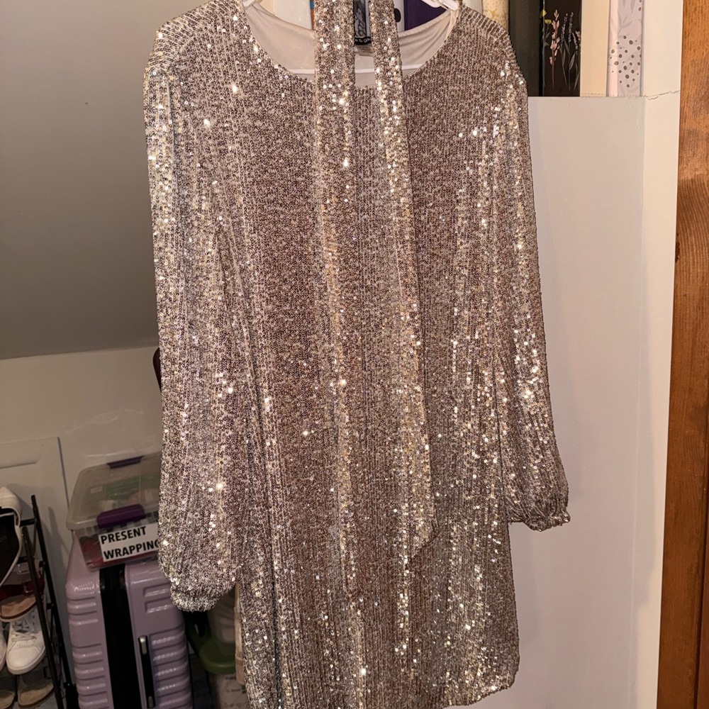 Cable & Gauge Silver Sequin dress